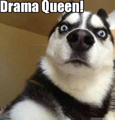 Drama Queen - Dog Huskie.jpg