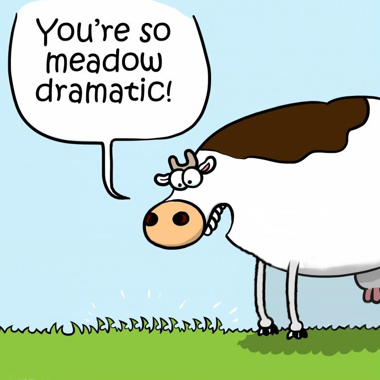 Drama - SO MEADOW DRAMATIC COW.jpg