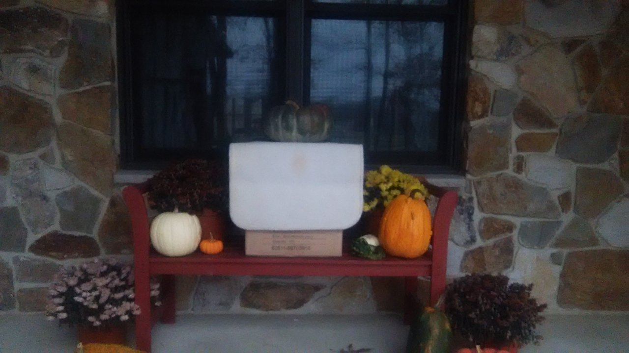 DSC_0091.JPG