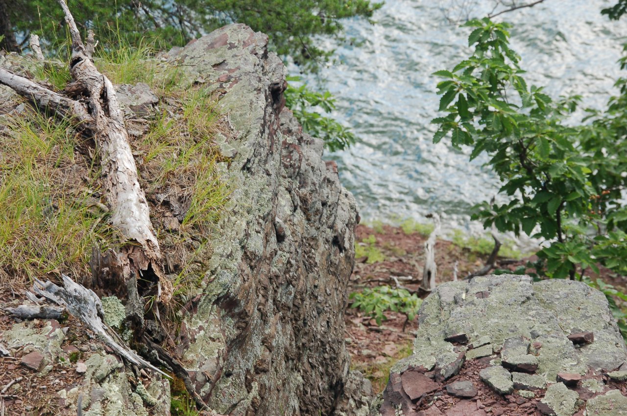 DSC_0171.JPG