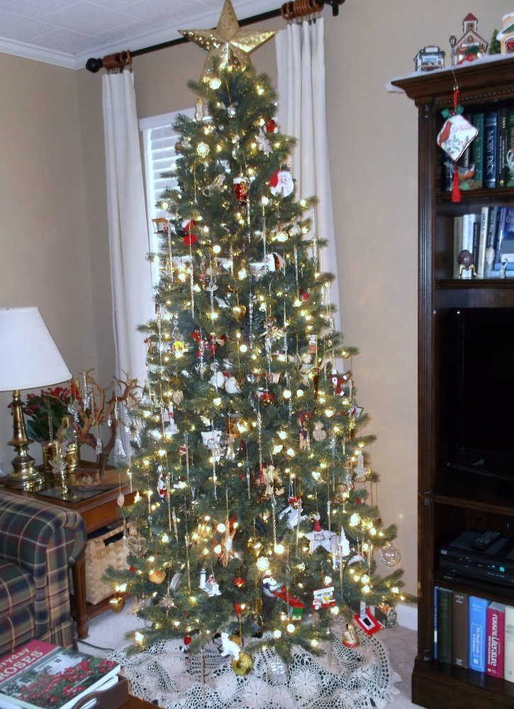 DSCF1967.JPG