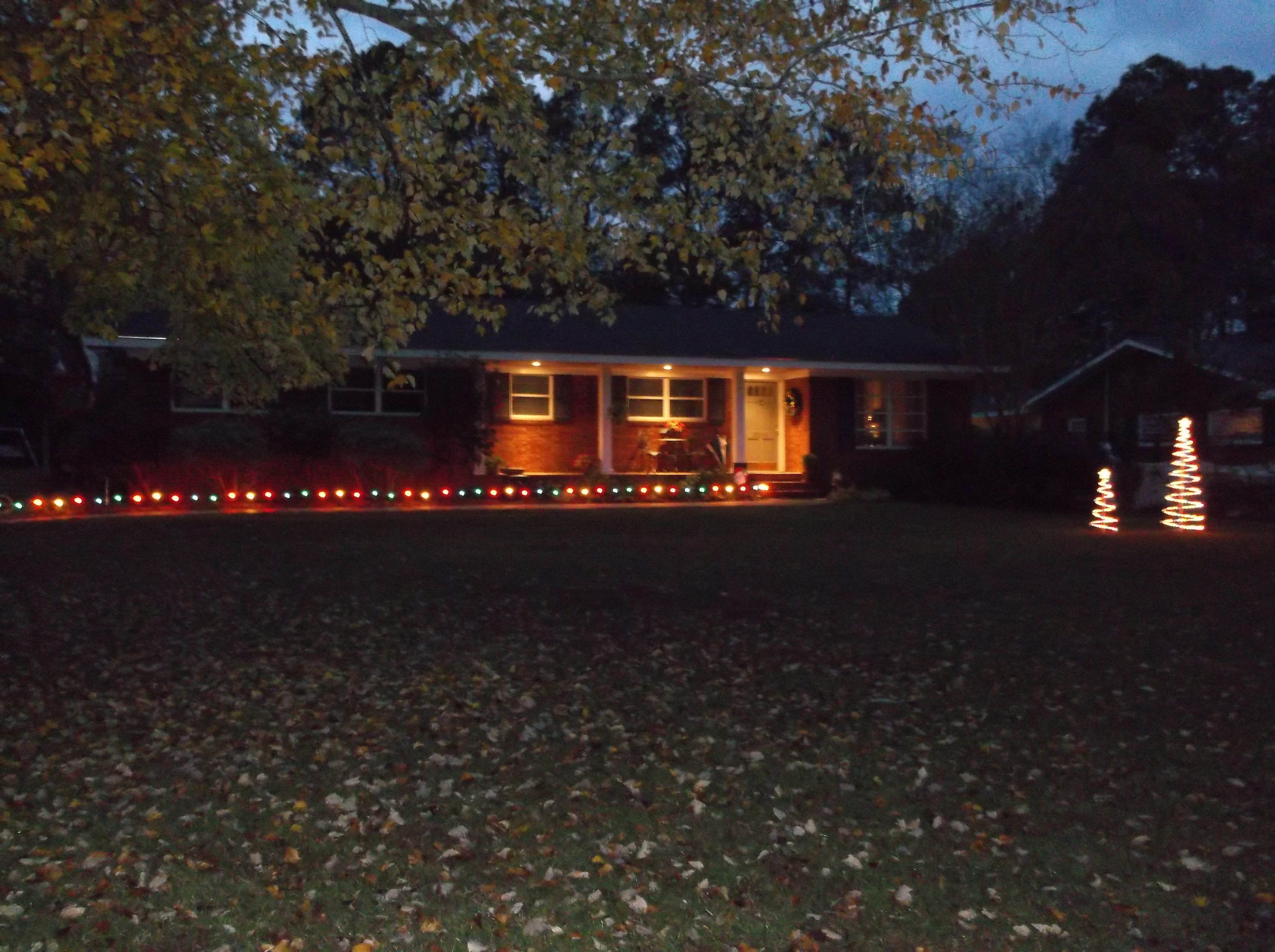 DSCF2567.JPG