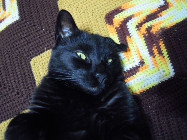DSCN2187 (640x480).jpg