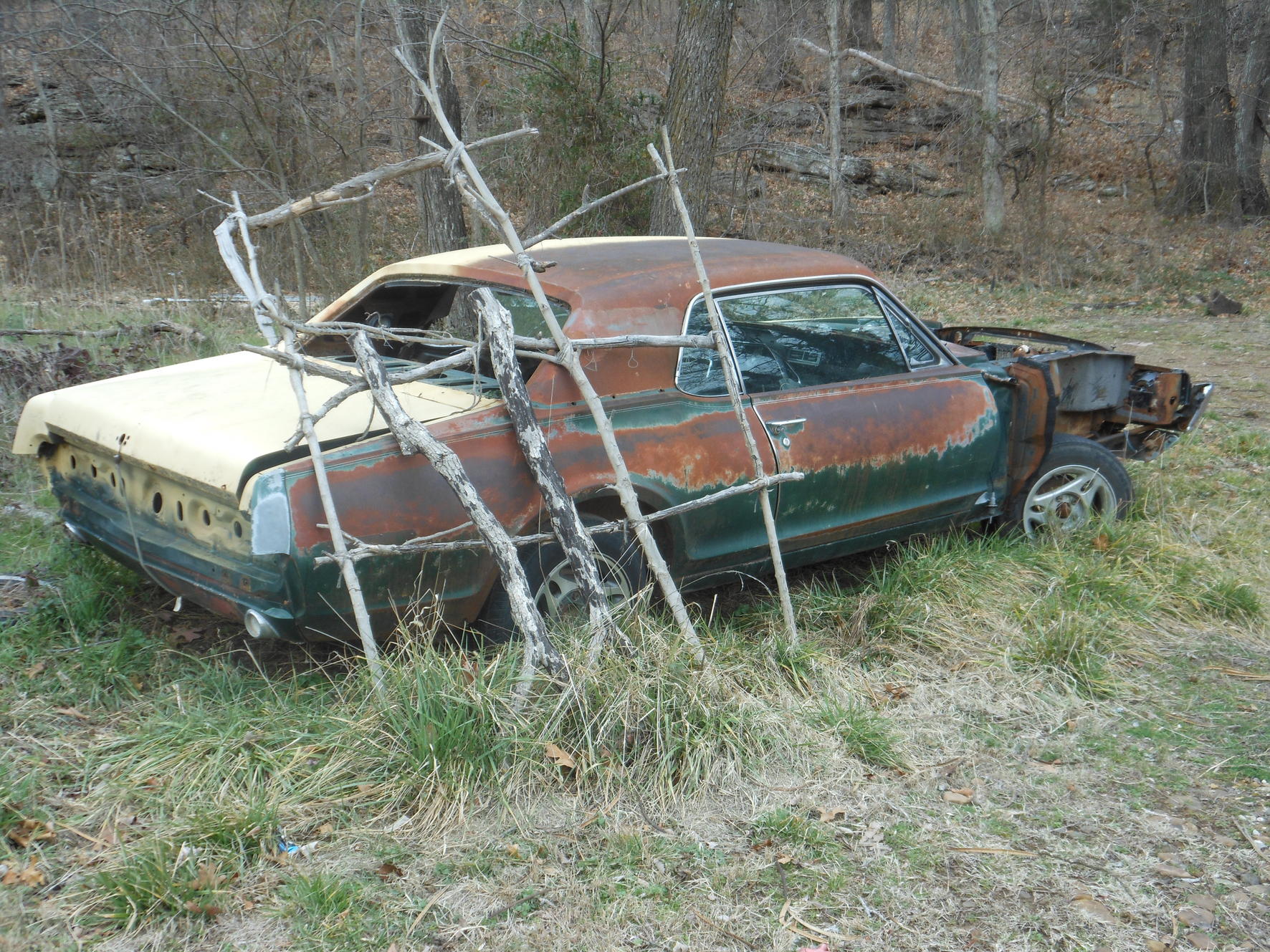 DSCN2998.jpg