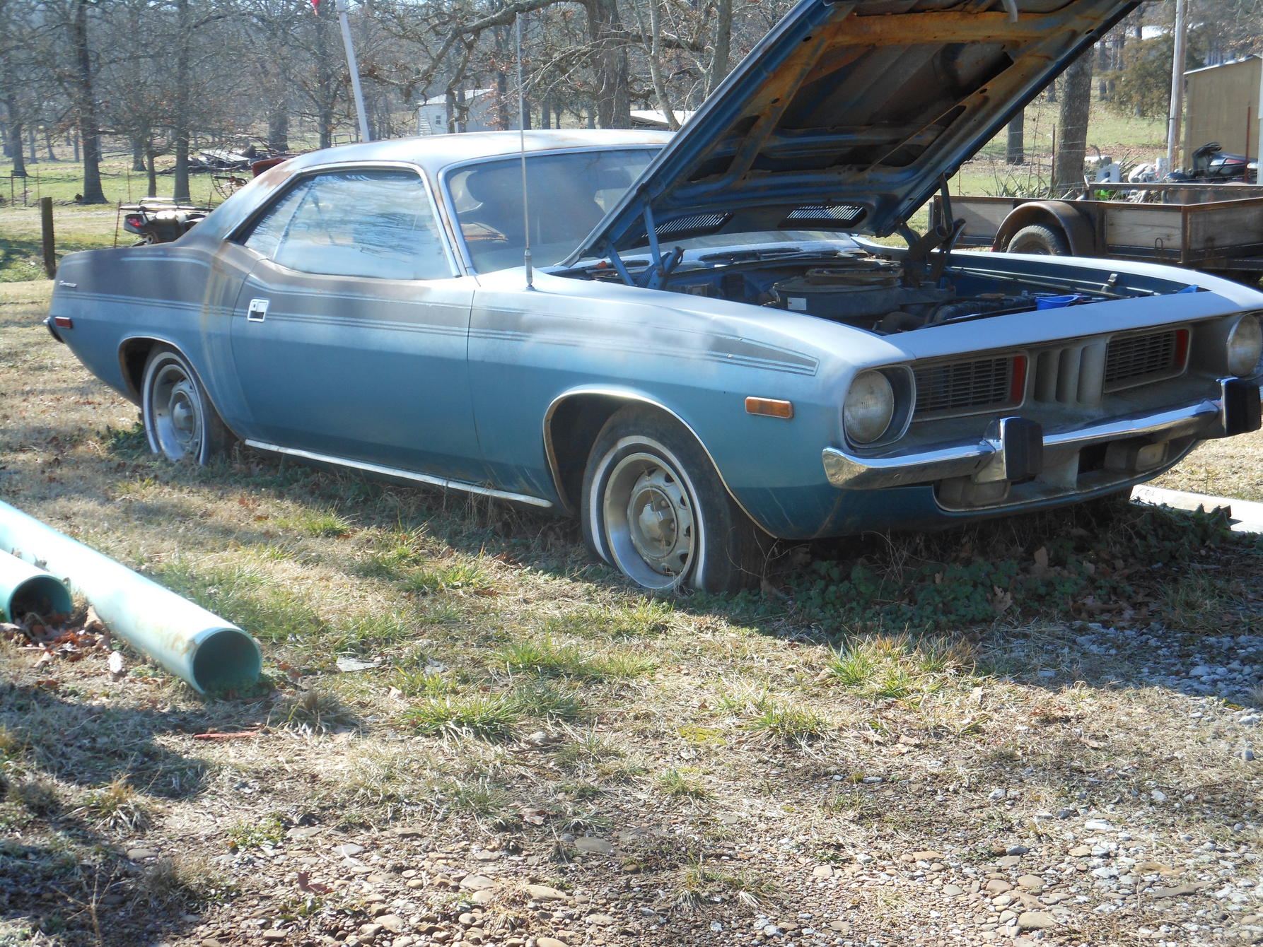 DSCN3001.jpg