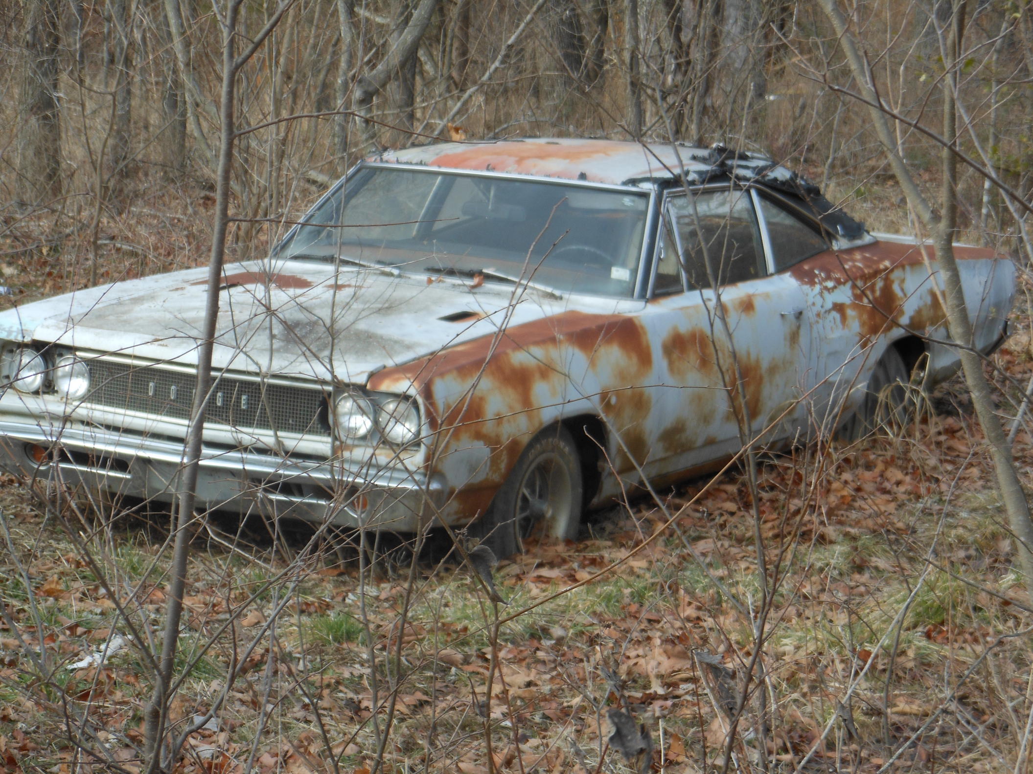 DSCN3006.jpg