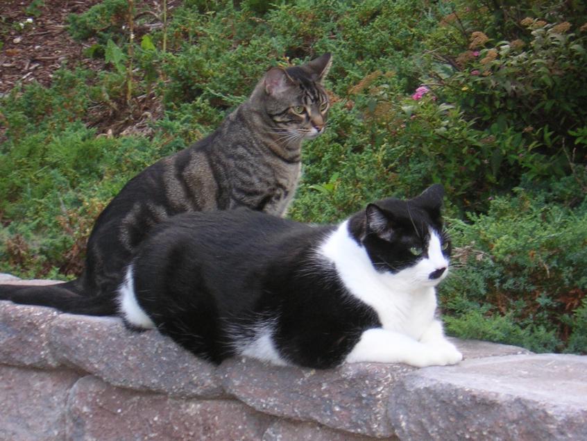 DSCN4500.jpg