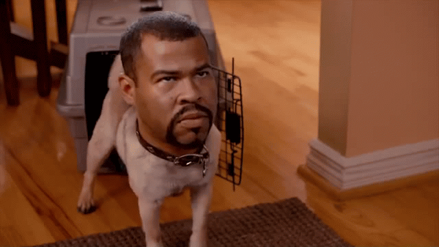 E1FB7B5F-E277-4F1E-8F88-F8F0394A9C33.gif
