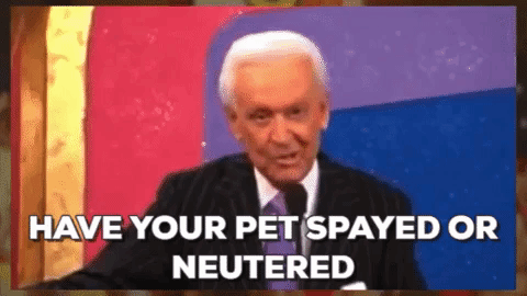 E2AB192E-8AA4-4AD7-B966-76259212A6D5.gif