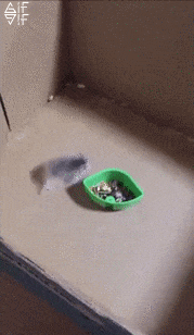 E57AF318-E755-4786-A3DD-39C0A75B95AB.gif