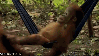 E6EPXui0rbFew.gif