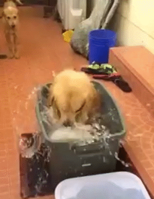 E7cBoRKxQGHLy.gif