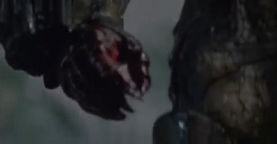 E8620D56-F91D-452F-A3D4-41BC099E889F.gif