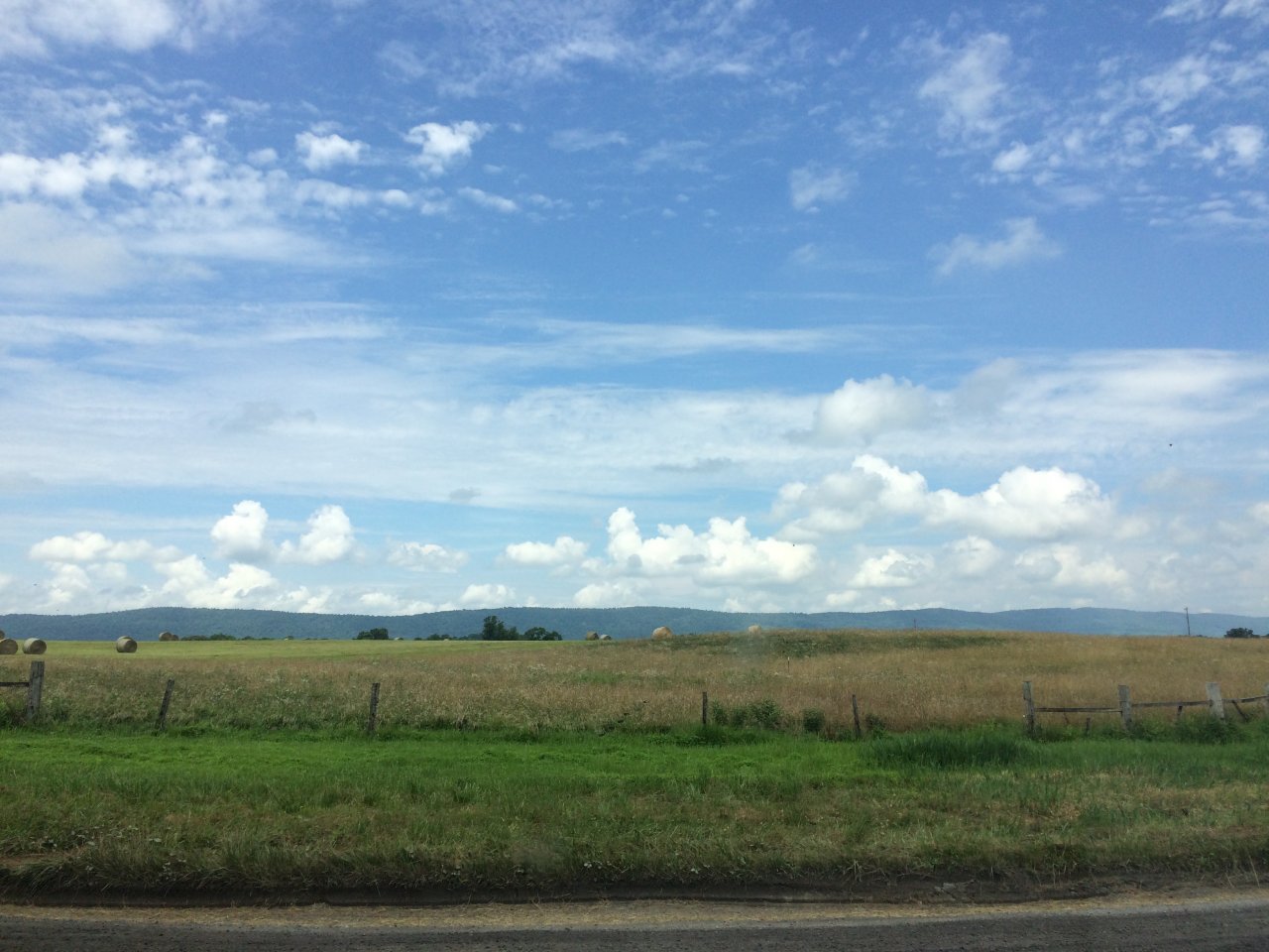 E93BE3F4-13B2-4B8C-8E08-9F6216A4F985.jpeg