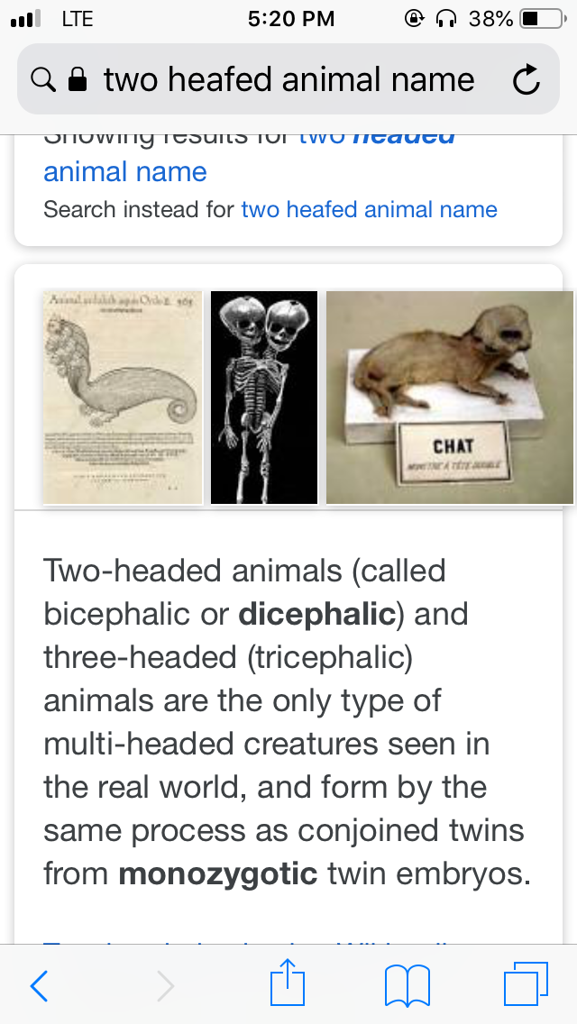 EC9069CA-48CA-447F-BAC3-9D1E576D3703.png