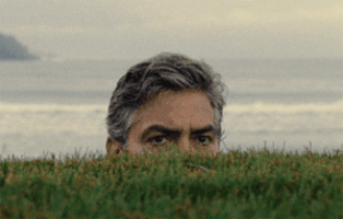 EE54EC57-8C37-4B00-BDA6-44A9E5CB8E0D.gif