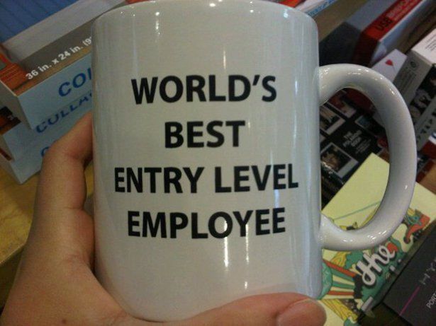 entry level.jpg