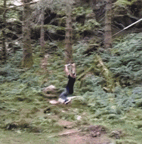 eTDYLDNOpp4Yw.gif