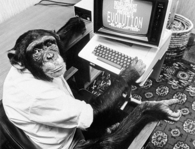 evolution_monkey.jpeg