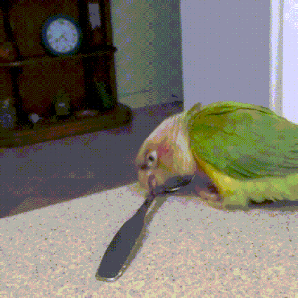 eZuQBH6GJiUJW.gif