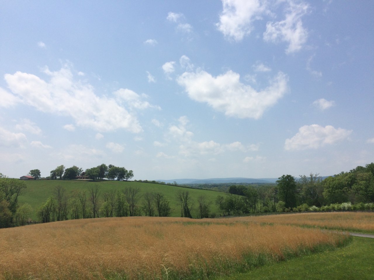 F1F85244-801A-4991-AA1D-B8263B92F667.jpeg