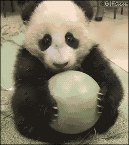 F3B93453-8CCA-4702-A6B6-2BEA2BBB0309.gif