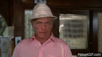 F416338D-EE43-48E6-B265-BBDFFF9AB04A.gif