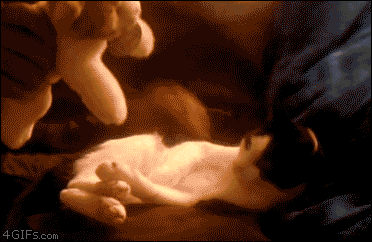 f6y4qvdxwEDx6.gif