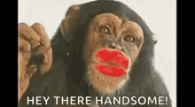 F726B620-95A9-411C-B4DE-654A7CDDD470.gif