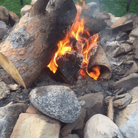 F74C2F8A-3028-43BD-8A33-FA4A2F98359E.gif