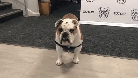 F9369C0F-4EC9-40B6-B503-B6E4AE884EE4.gif