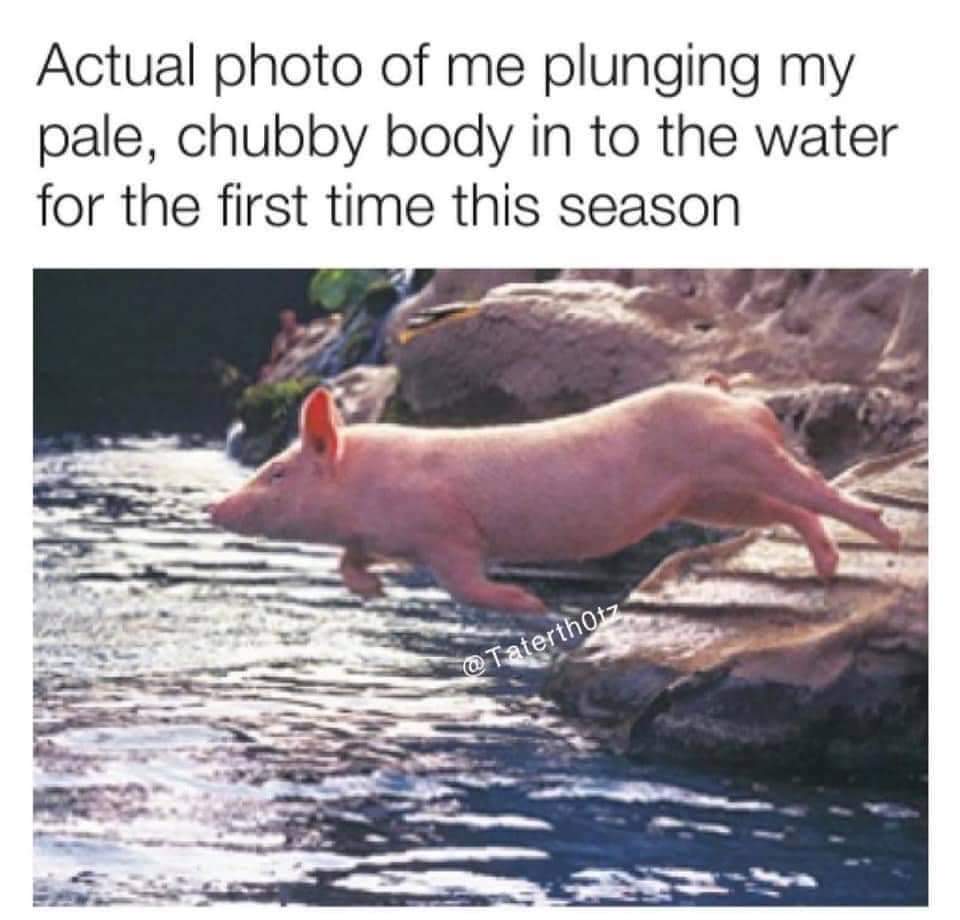 facebook_1649950899744_6920395658601750003.jpg
