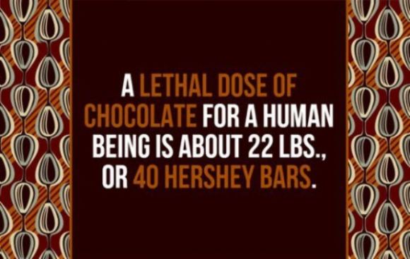 facts-09.jpg
