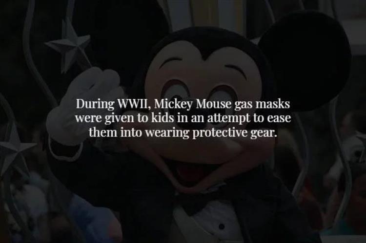 facts-8.jpg
