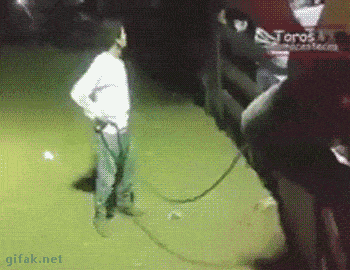 fail2.gif