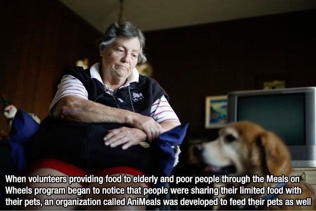 fascinating_facts_4.jpg