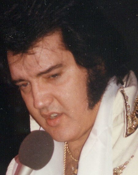 fatelvis.jpg