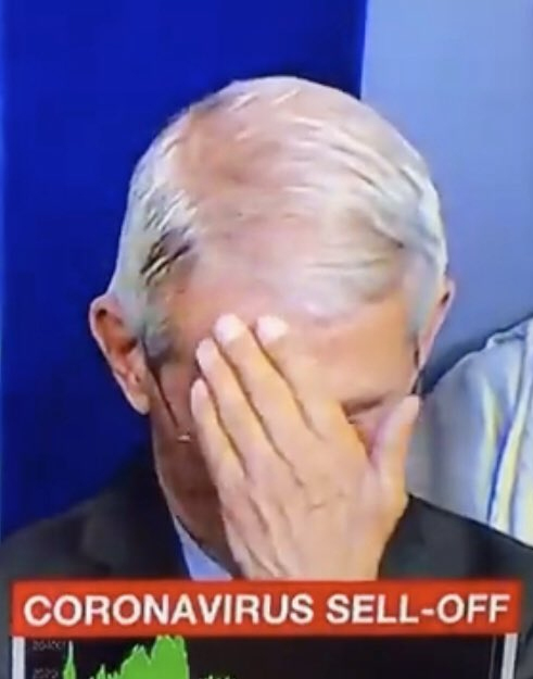 Fauci Facepalm.jpg