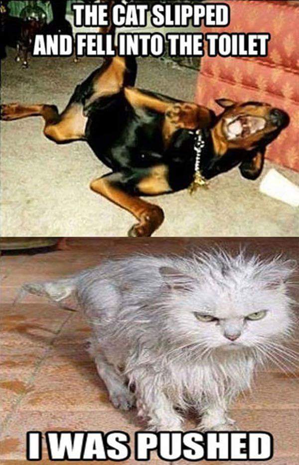 FB_IMG_1449342966739.jpg