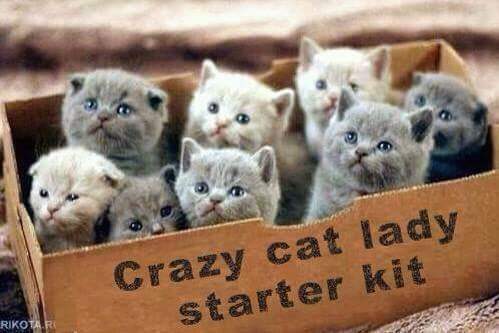 FB_IMG_1450533464916.jpg