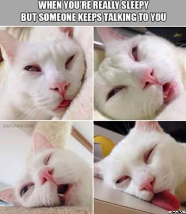 FB_IMG_1454977787035.jpg