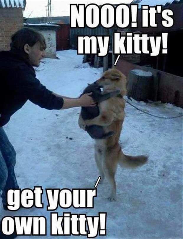 FB_IMG_1458725628002.jpg