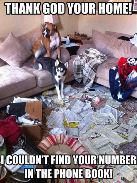 FB_IMG_1473517134125.jpg