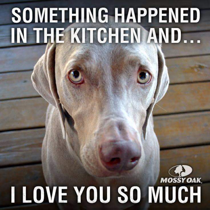 FB_IMG_1473527083376.jpg