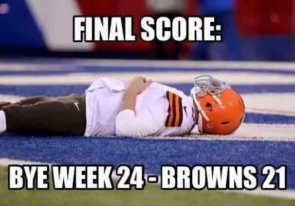 FB_IMG_1479216441793.jpg