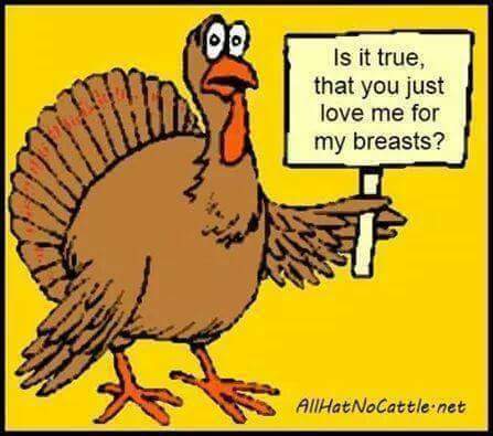 FB_IMG_1479943750054.jpg