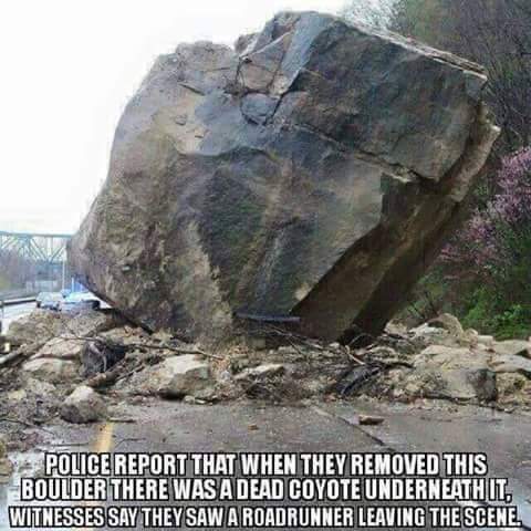 FB_IMG_1485554696808.jpg