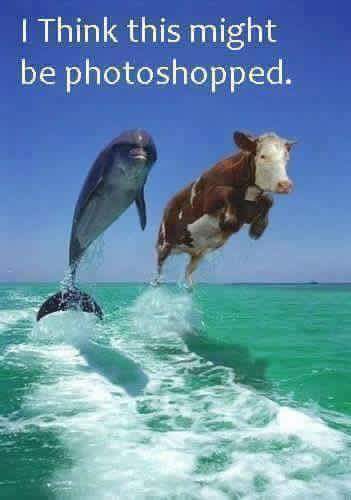 FB_IMG_1485736878515.jpg