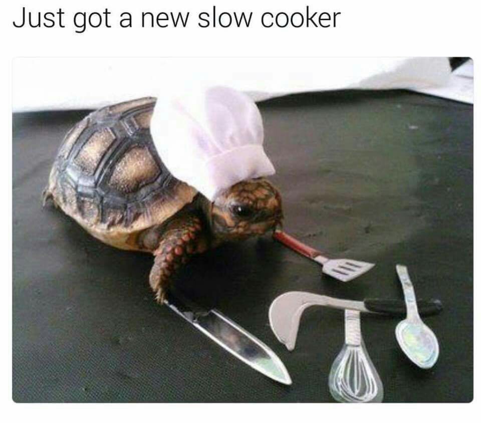 FB_IMG_1486608447810.jpg