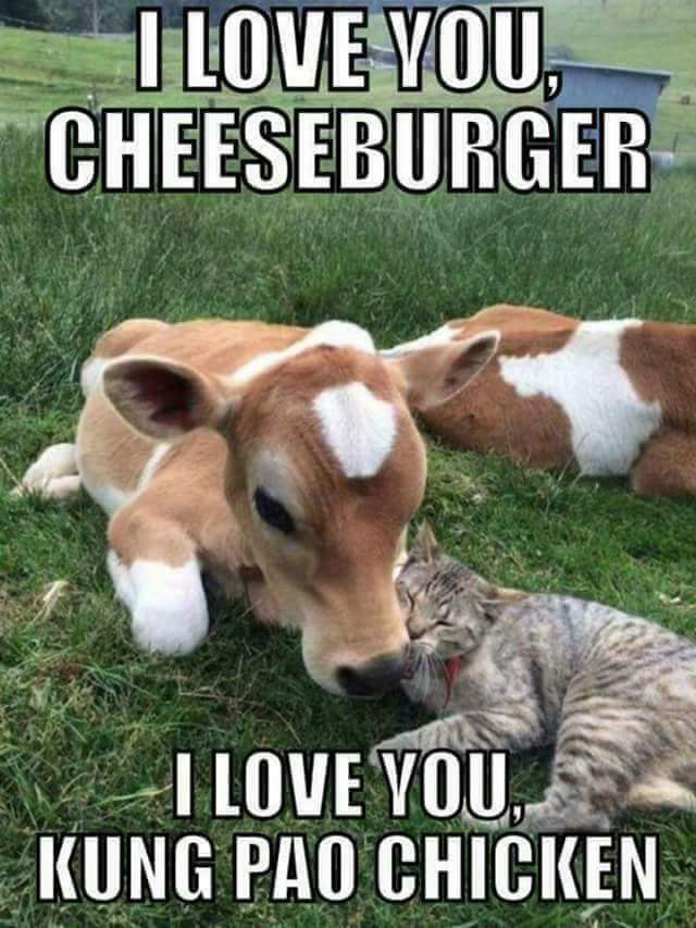FB_IMG_1490875147019.jpg